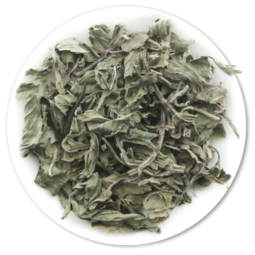 Té de hierbabuena de menta verde menta seca de la salud natural Hojas de menta secas